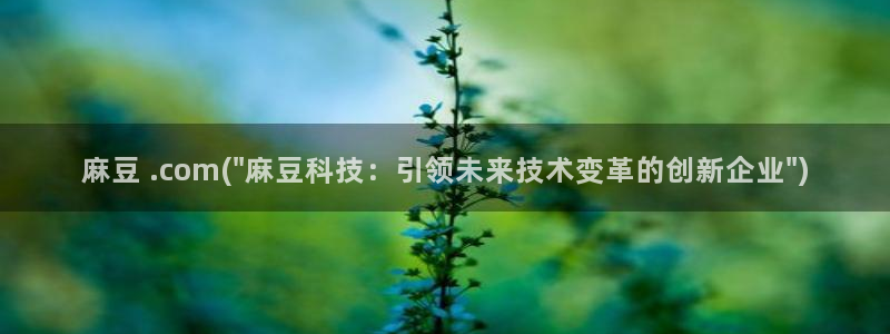麻豆观看：麻豆 .com(\