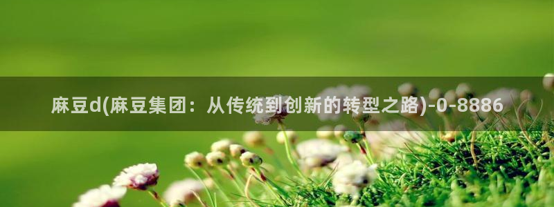 麻豆麻豆：麻豆d(麻豆集团：从传统到创新的转型之路)