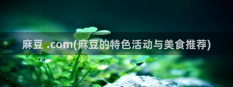 麻豆av专区：麻豆 .com(麻豆的特色活动与美食推荐)
