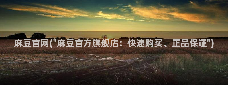 91蜜桃麻豆专区：麻豆官网(\