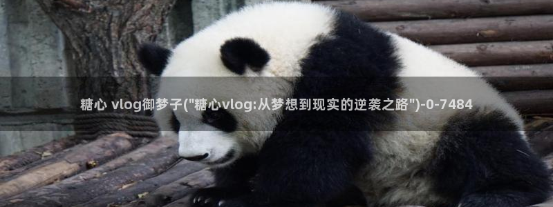 糖心vlog应用