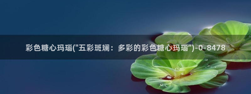 糖心vlog一区