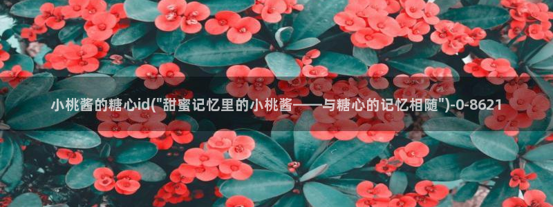 糖的vlog