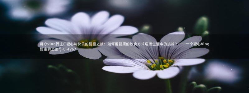 糖心vlog下载软件