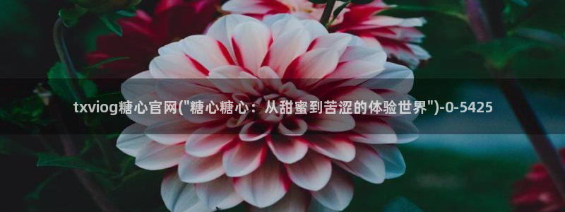 糖心vlog传媒网站免费进入