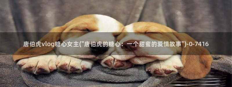 糖心vlog下载破解版